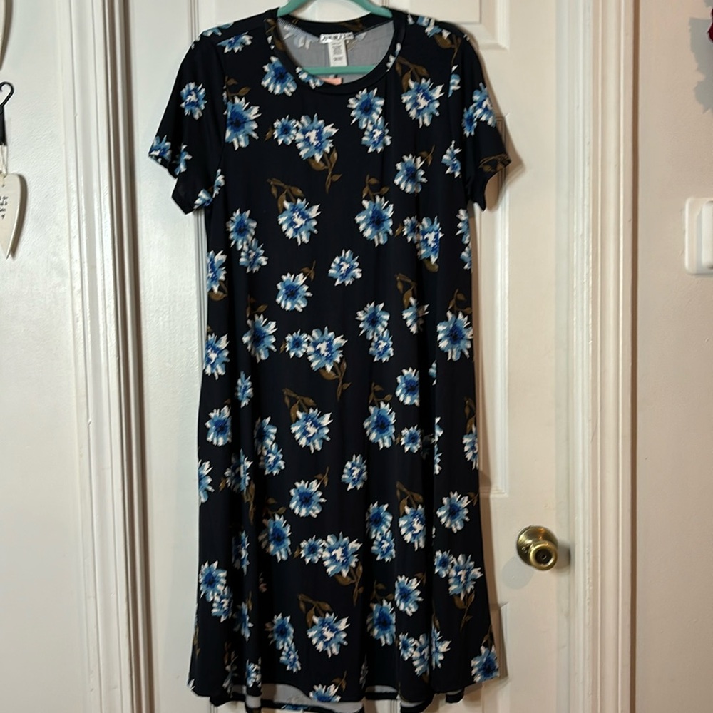 Honey and Lace Napa dress, size 2x